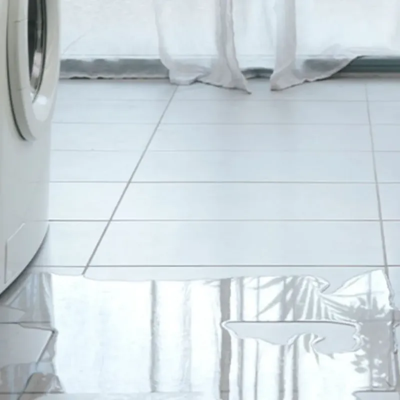Appliance Leak Cleanup in Largo, FL
