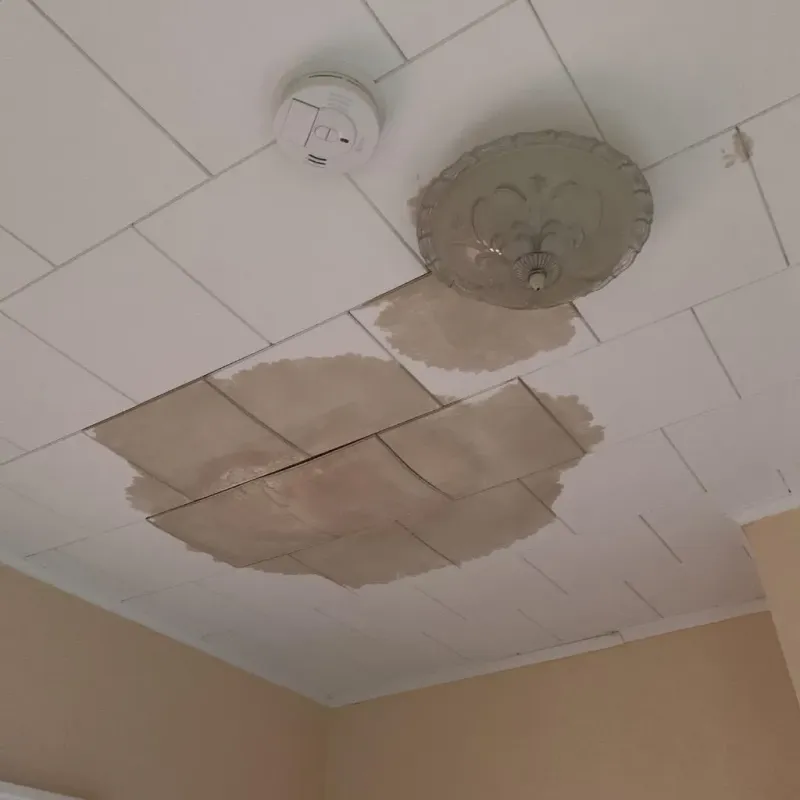 Ceiling Water Damage Repair in Largo, FL